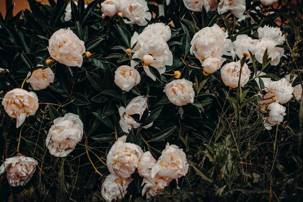 Découvrez les lavabos tendance pour votre salle de bain