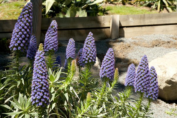 Tout savoir sur les panneaux solaires pour votre maison