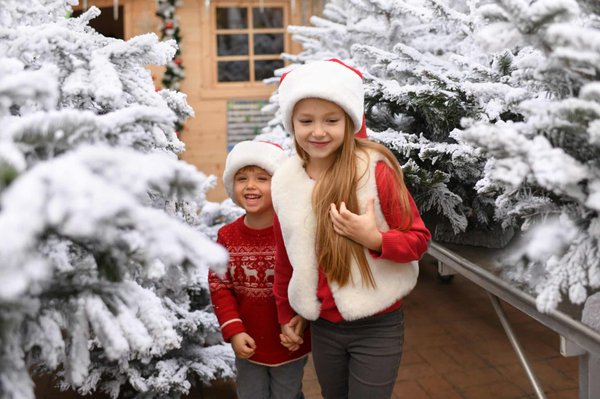 Les avantages et l'utilisation des plantes artificielles dans votre espace intérieur