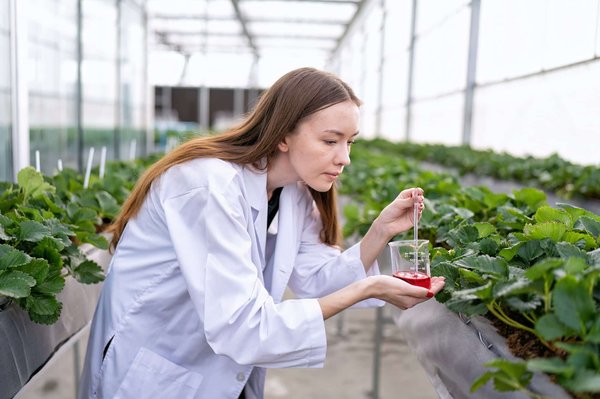 Optimisez la croissance de vos plantes avec les meilleurs engrais hydroponiques